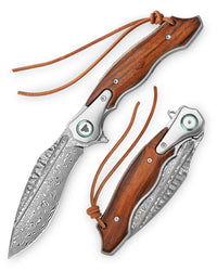 Lepus-01 Liner Lock,4.09'' 110 Layesrs Damascus Steel Blade,Titanium Bolster & Ironwood Handle