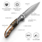 Virgo-07Y Handmade Folding Pocket Knife,3.62in 110 Layers Damascus Steel Blade,Resin & Wood Handle with Clip