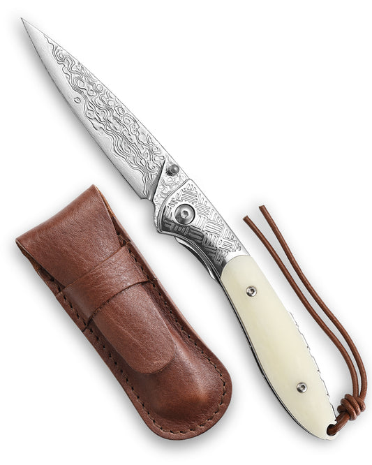 Piscis Austrinus-02W Handmade Pocket Knife with Leather Sheath,3.15in 67 Layers Damascus Steel Blade,Bone Handle