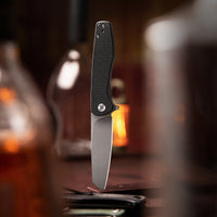 Dickybird-BG Liner Lock EDC Folding Pocket Knife 2.99'' 14C28N Steel Blade,G10 Handle