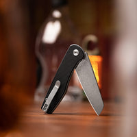 Dickybird-BG Liner Lock EDC Folding Pocket Knife 2.99'' 14C28N Steel Blade,G10 Handle