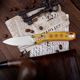 Dragonfly-Y Axis Lock EDC Folding Pocket Knife,2.99'' 14C28N Steel Blade,PEI Handle