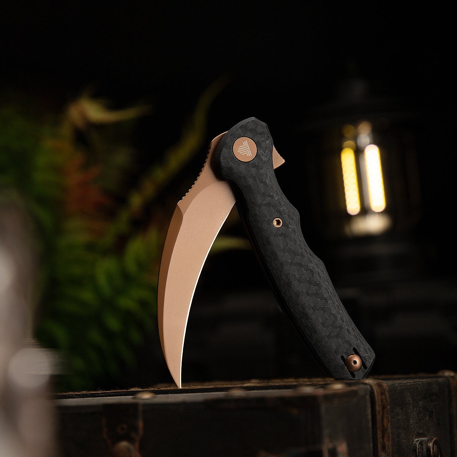 Lacerta-CG Liner Lock EDC Folding Pocket Knife 3.34'' 14C28N Steel Blade,Carbon fiber G10 Handle,Tiguass Design