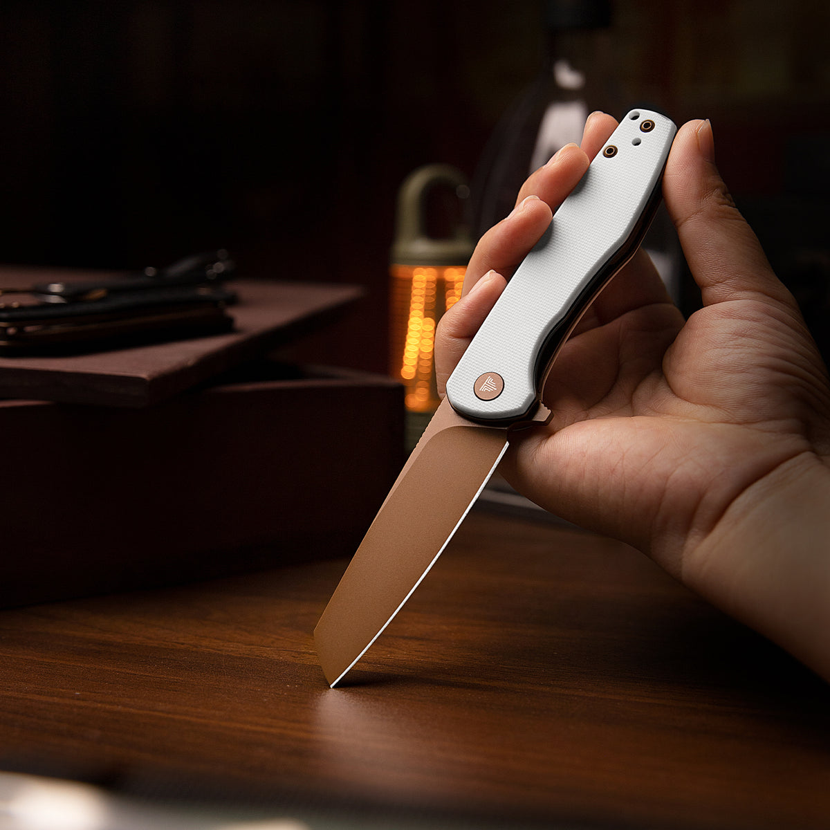Dickybird-WG Liner Lock EDC Folding Pocket Knife 2.99'' 14C28N Steel Blade,G10 Handle